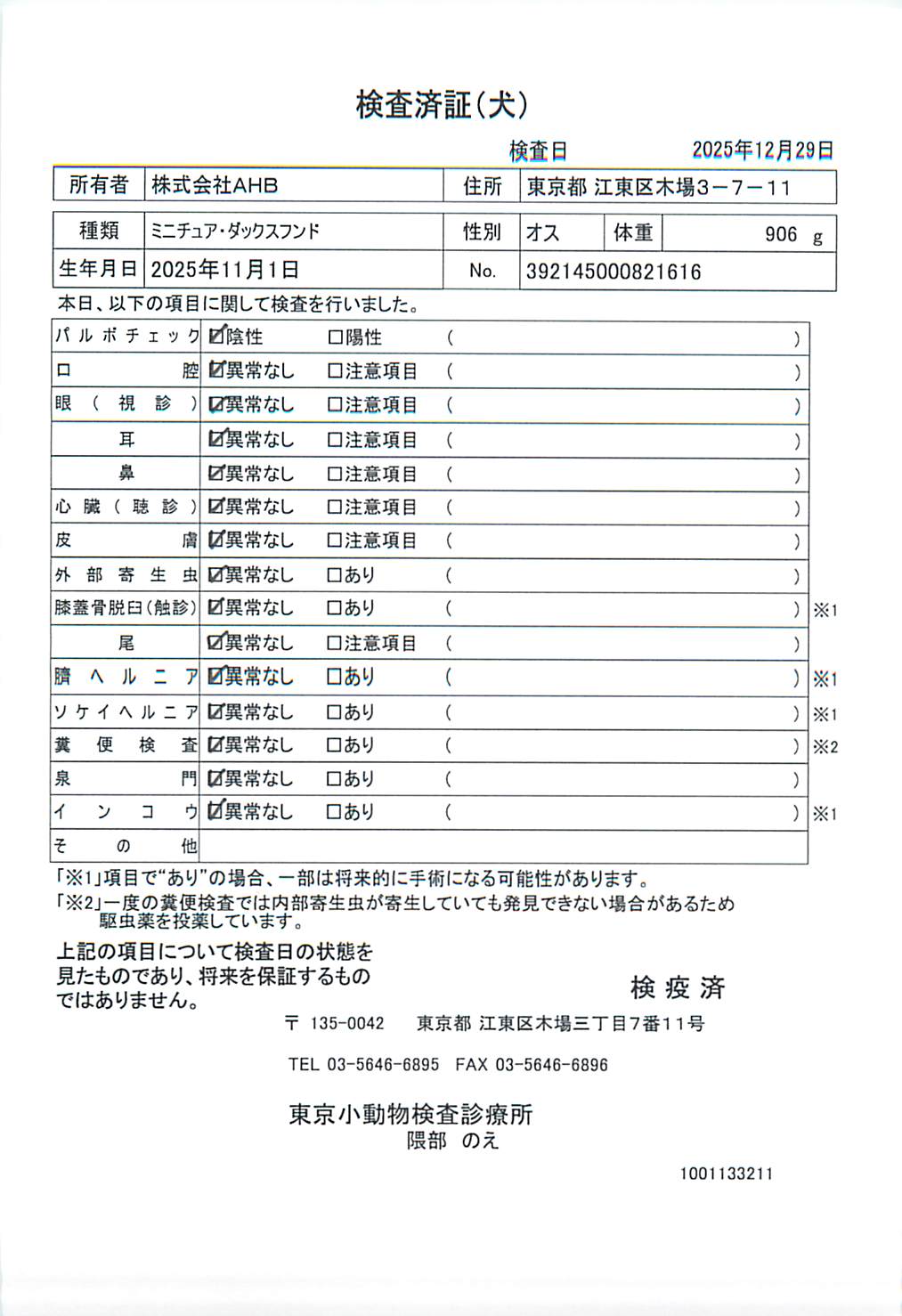 ミニチュア・ダックスフンド