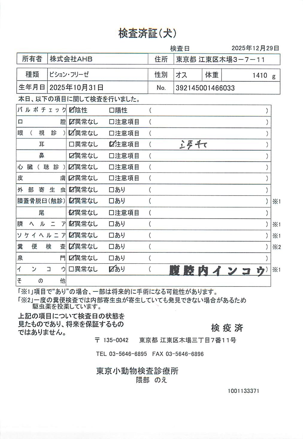 ビション・フリーゼ