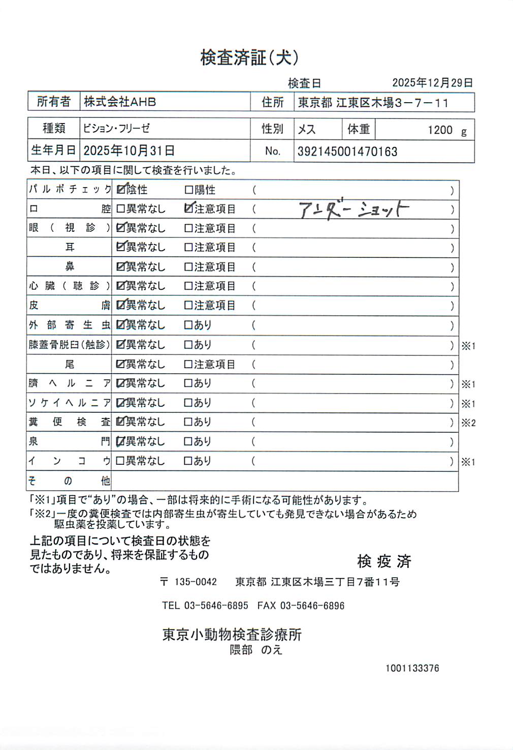 ビション・フリーゼ