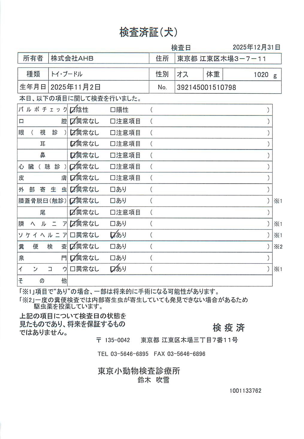 トイ・プードル