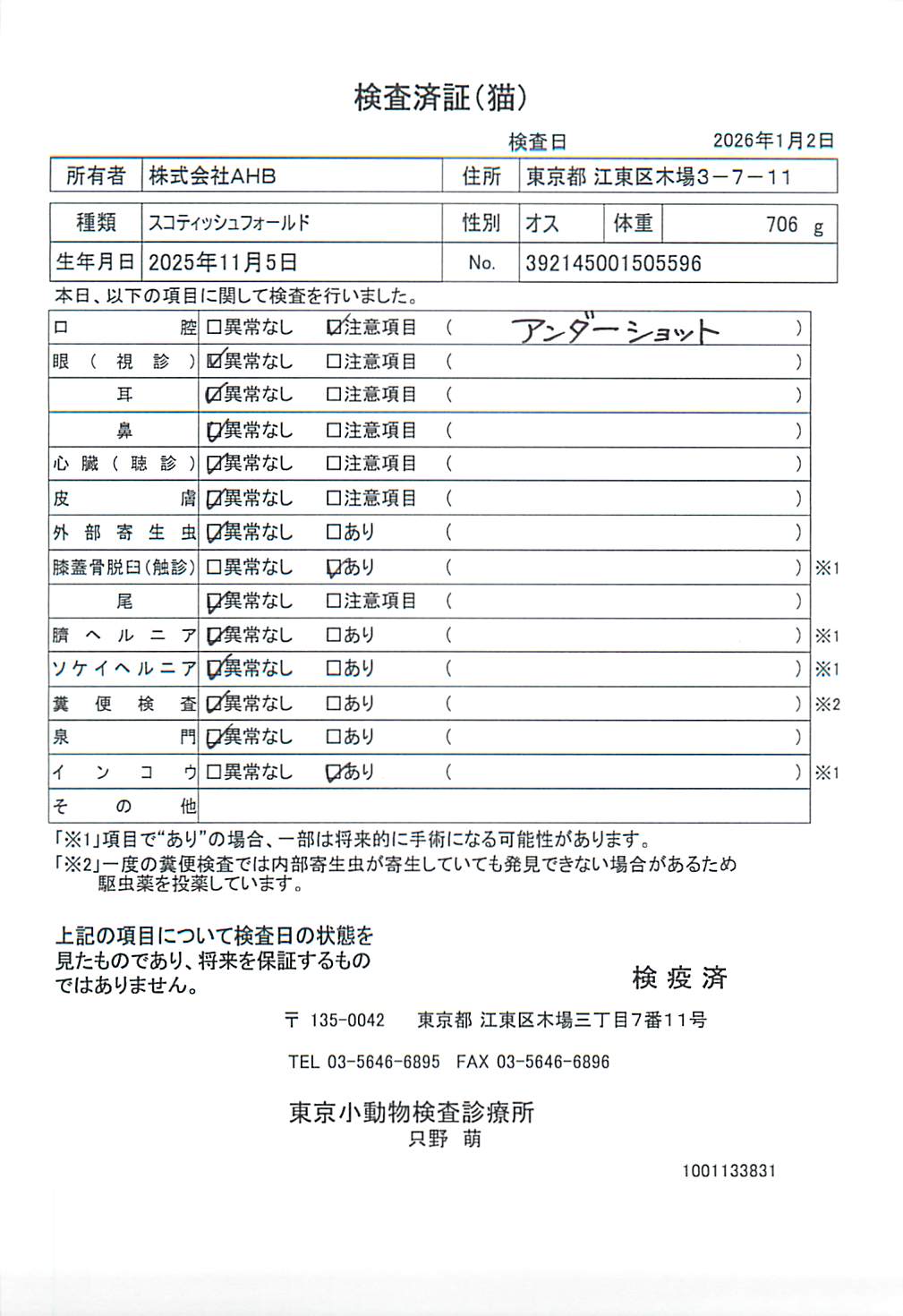 スコティッシュフォールド