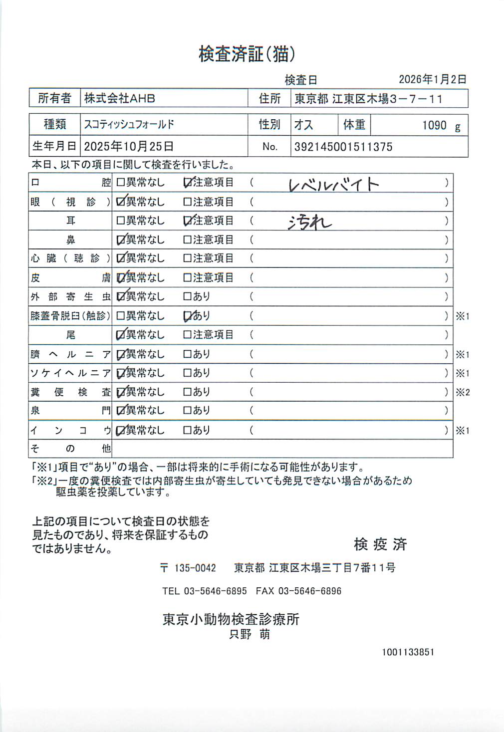 スコティッシュフォールド