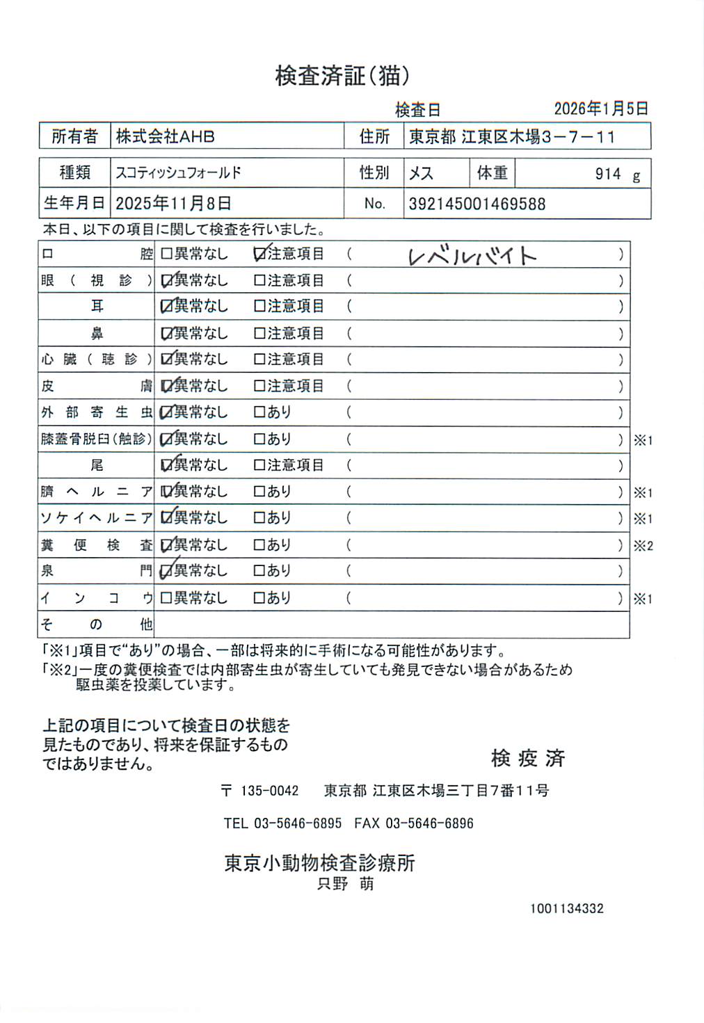 スコティッシュフォールド