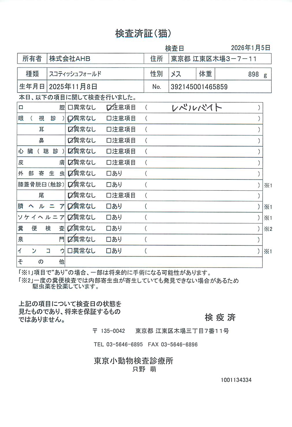 スコティッシュフォールド