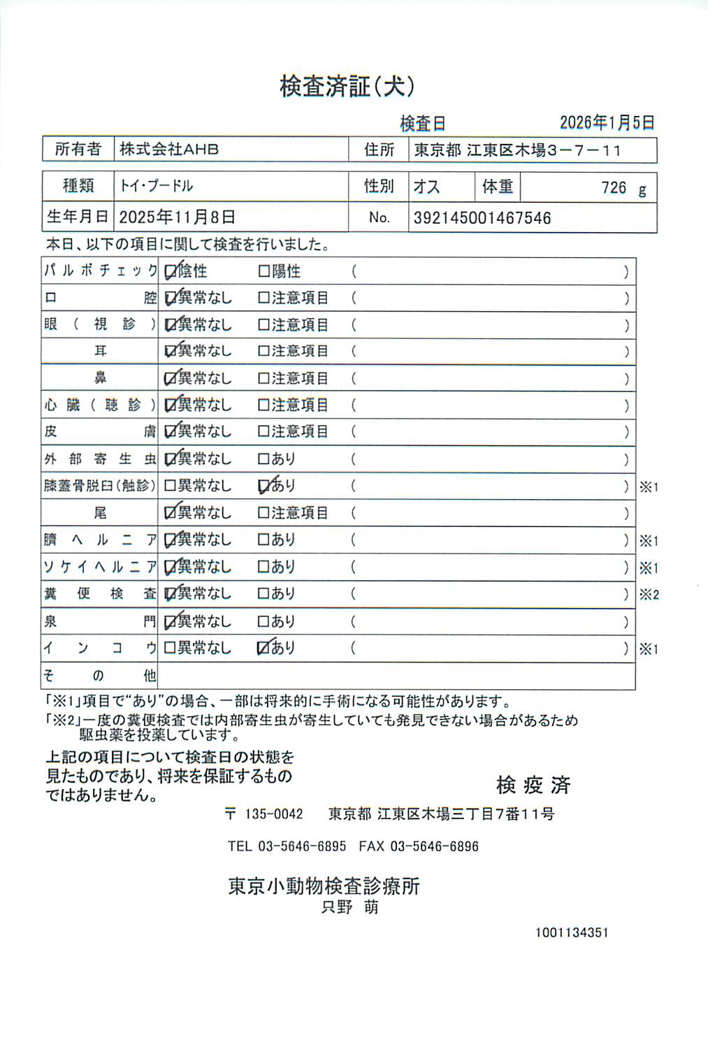 トイ・プードル