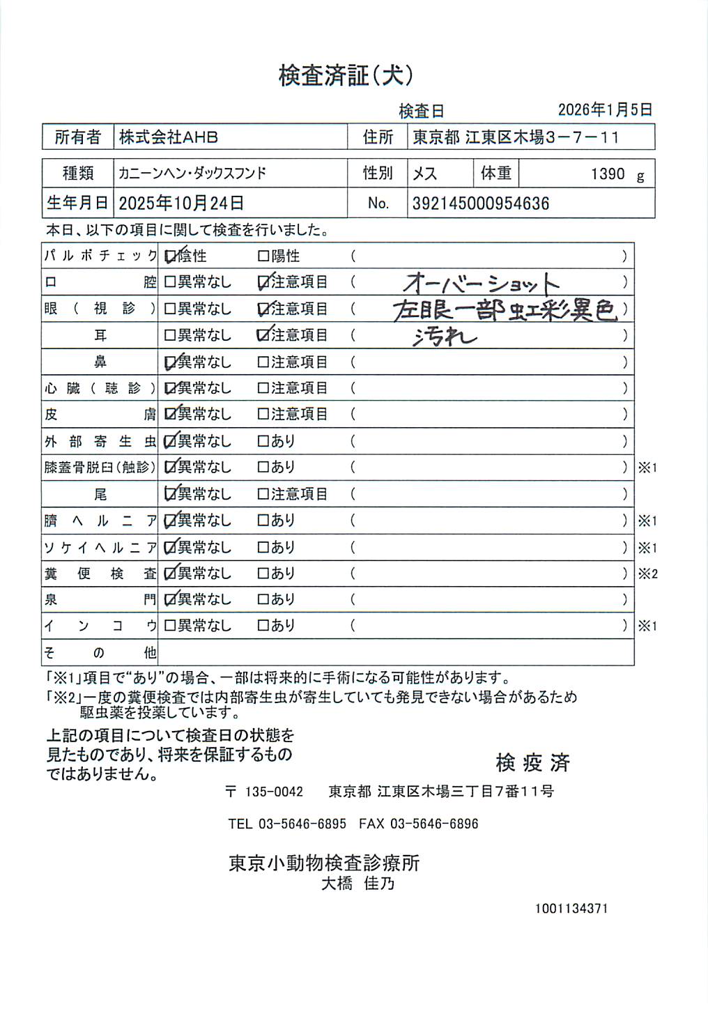カニーンヘン・ダックスフンド