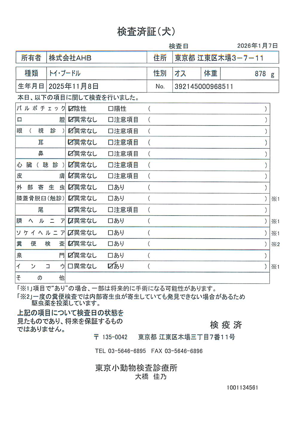 トイ・プードル