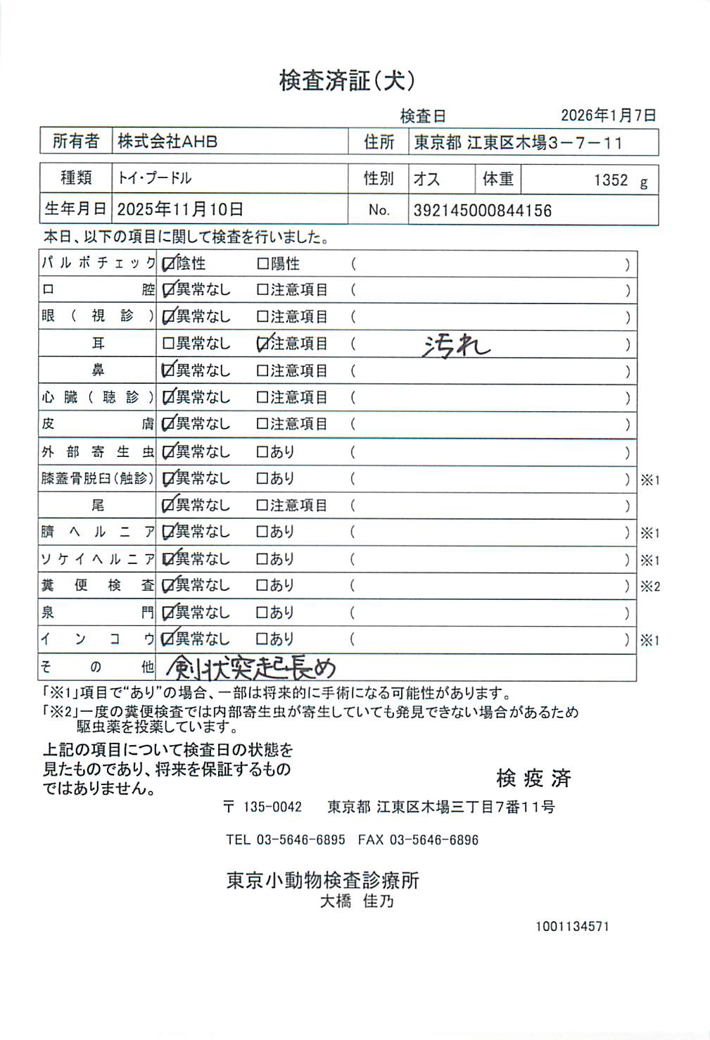 トイ・プードル