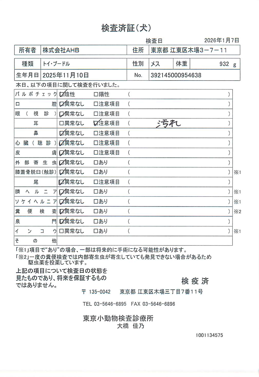 トイ・プードル