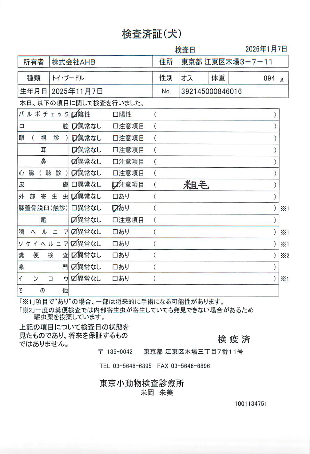 トイ・プードル
