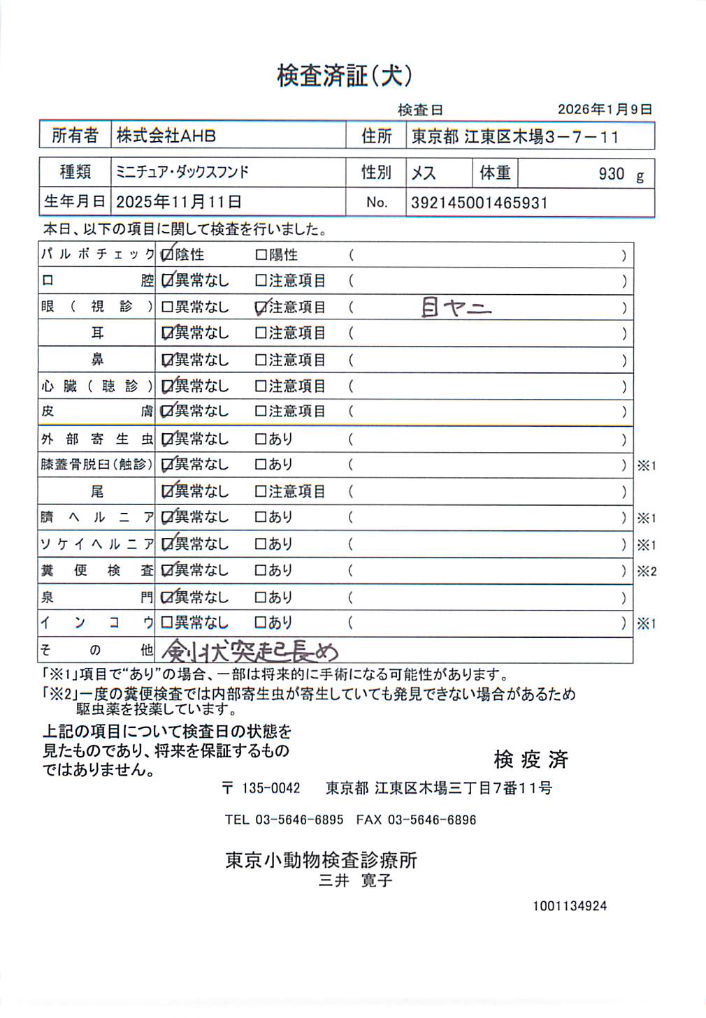ミニチュア・ダックスフンド