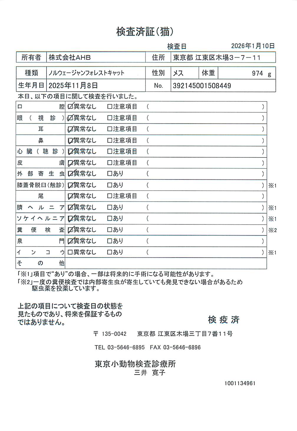 ノルウェージャンフォレストキャット