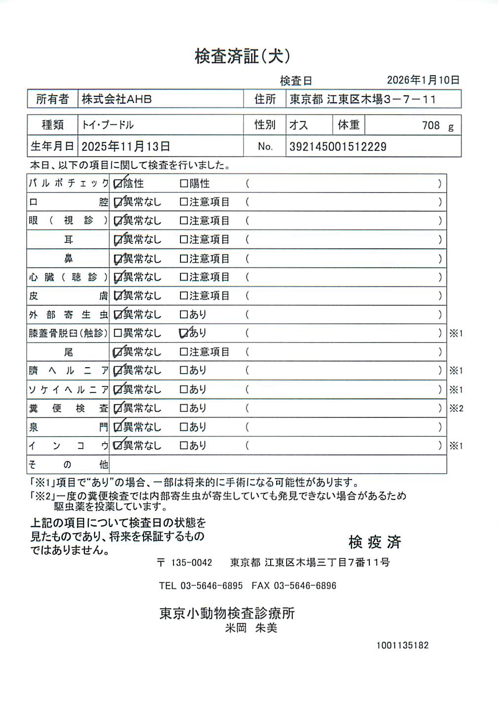 トイ・プードル