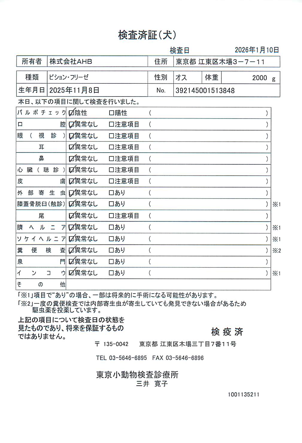 ビション・フリーゼ