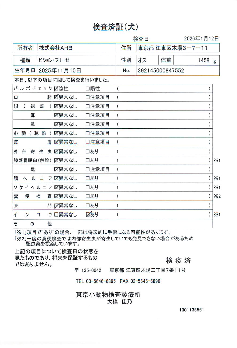 ビション・フリーゼ