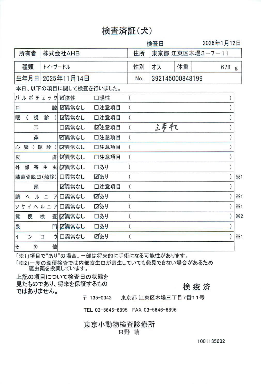 トイ・プードル