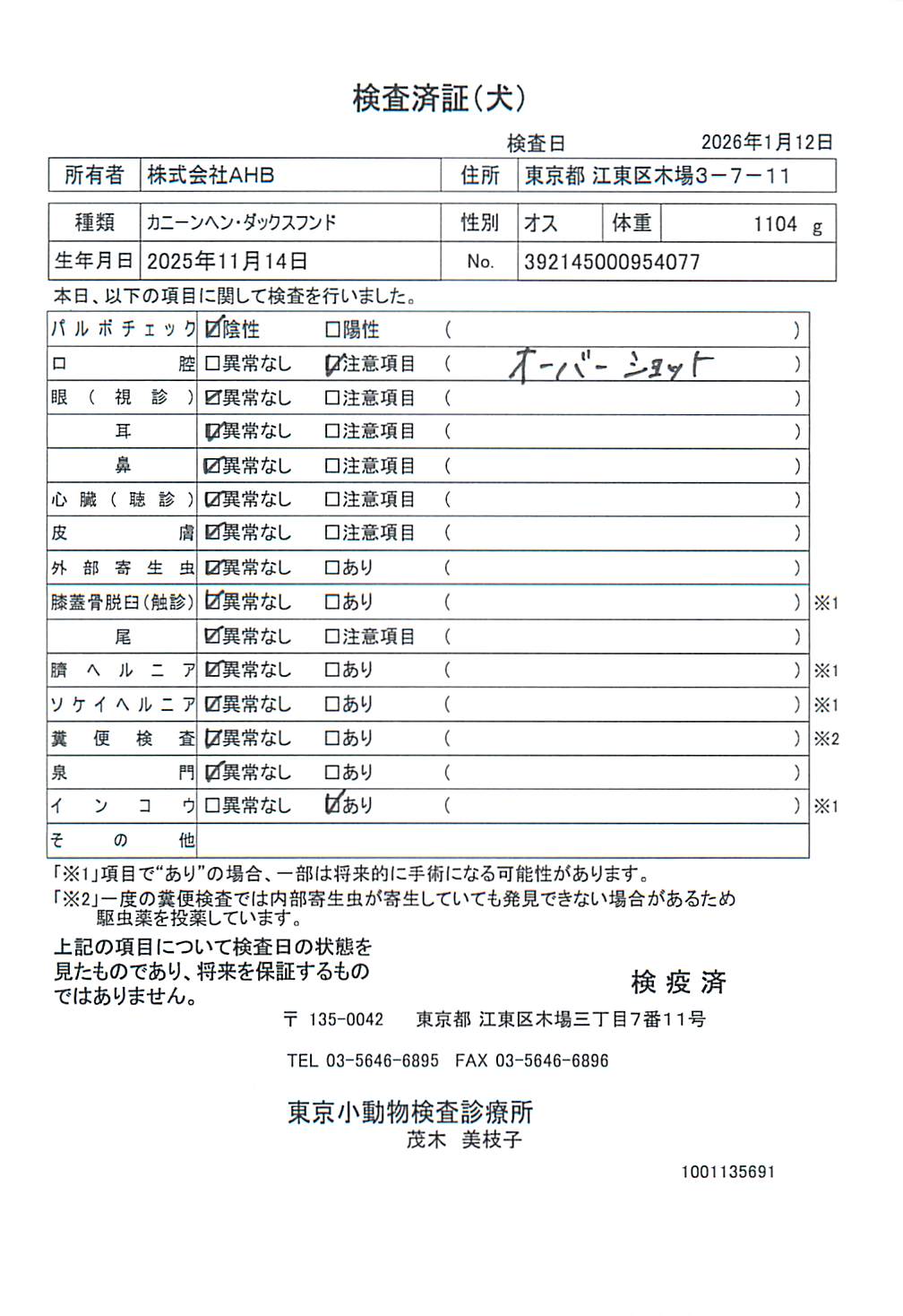 カニーンヘン・ダックスフンド