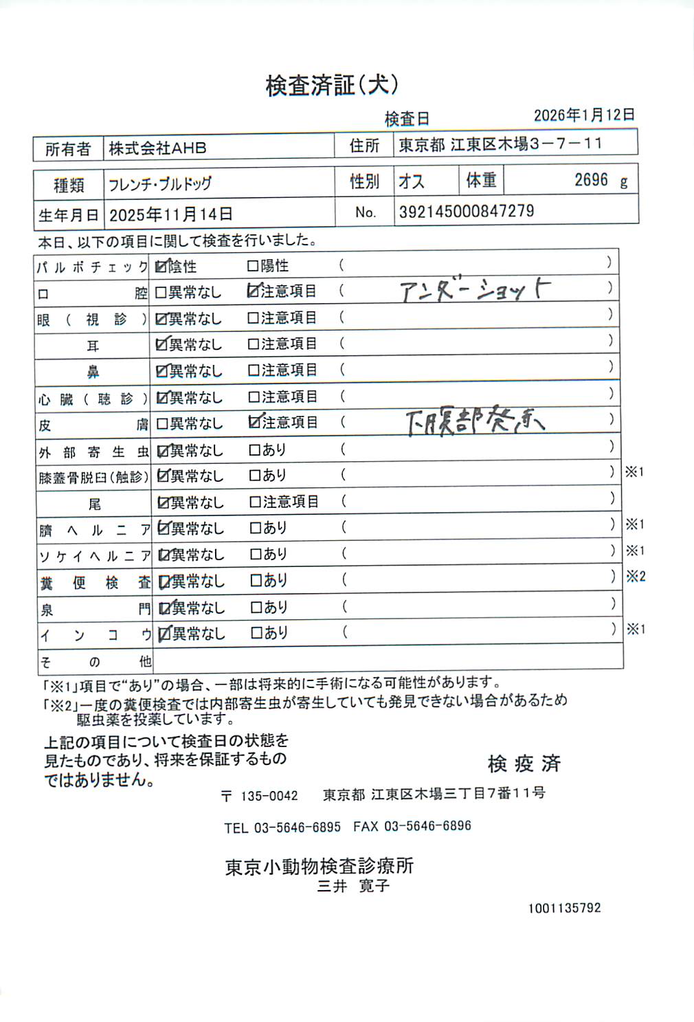フレンチ・ブルドッグ