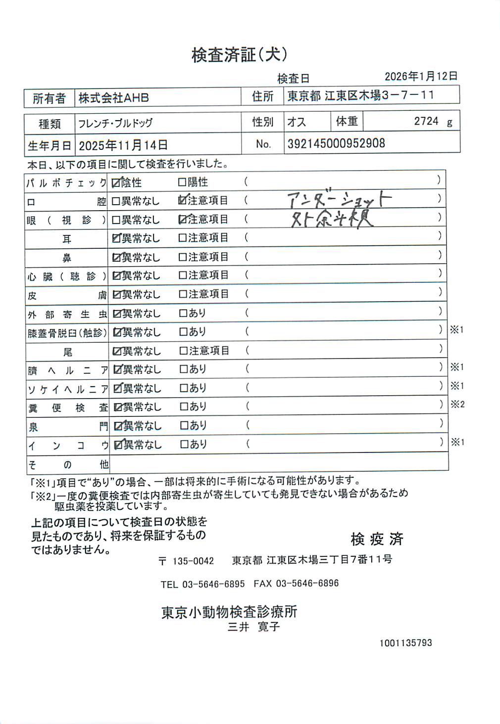 フレンチ・ブルドッグ