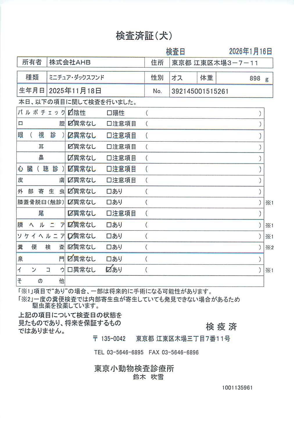 ミニチュア・ダックスフンド