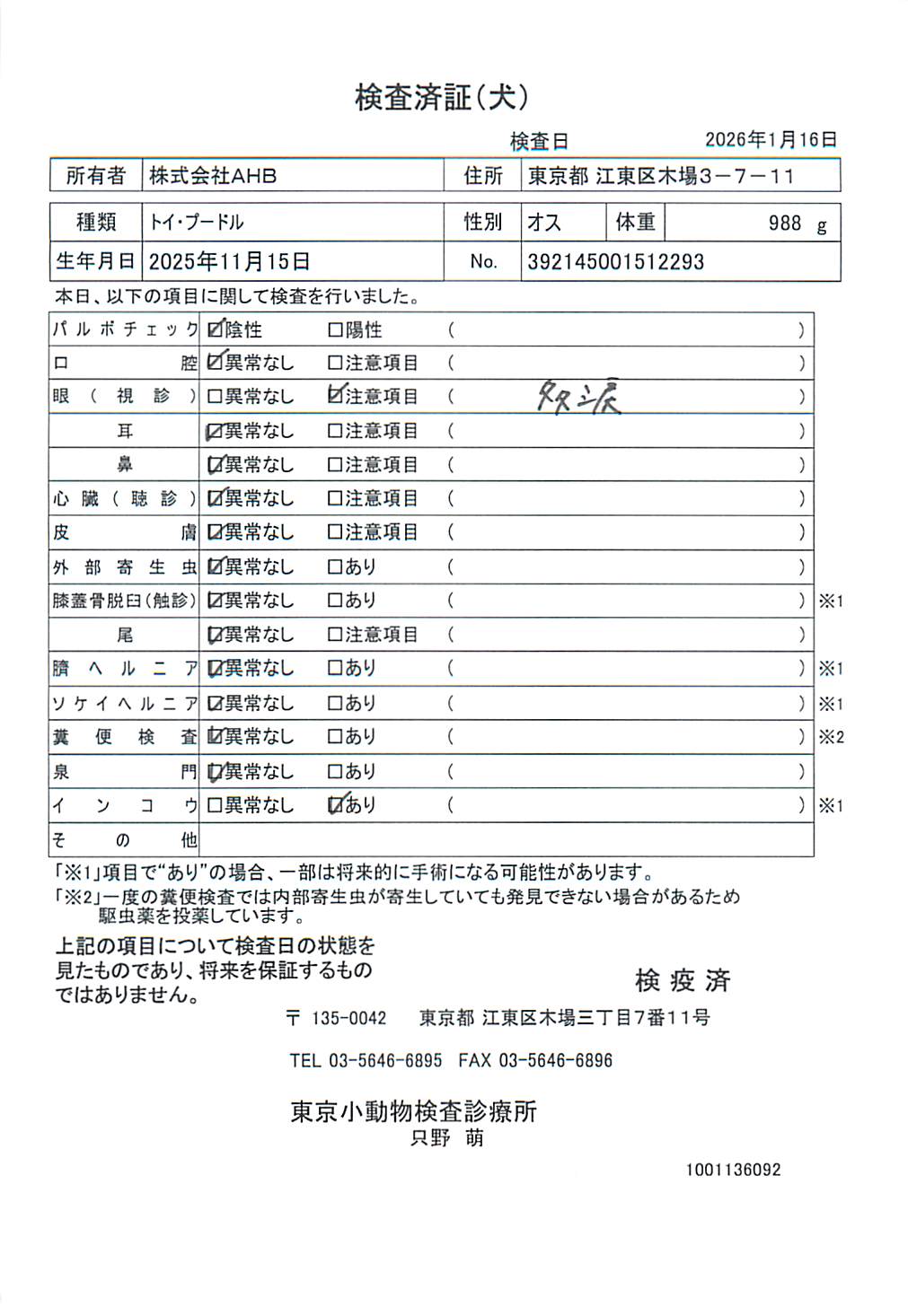 トイ・プードル