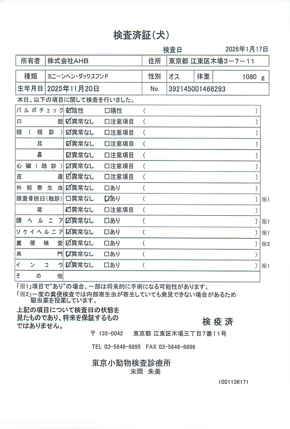 カニーンヘン・ダックスフンド