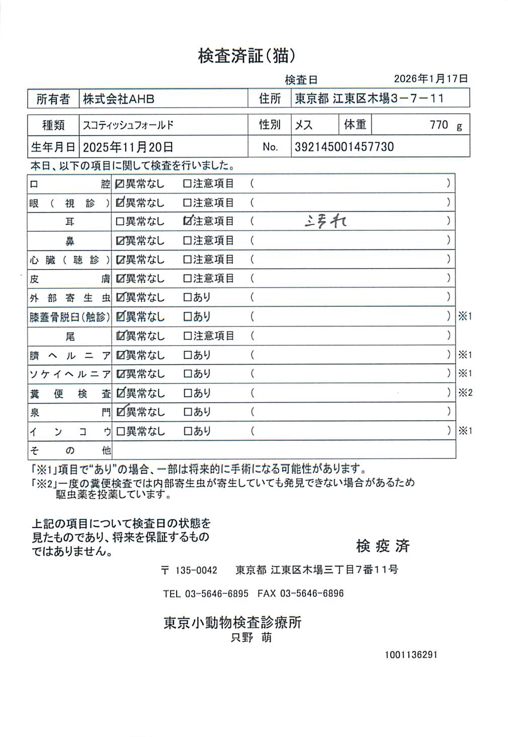 スコティッシュフォールド