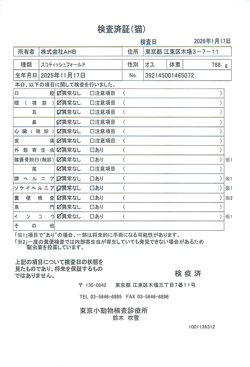 スコティッシュフォールド