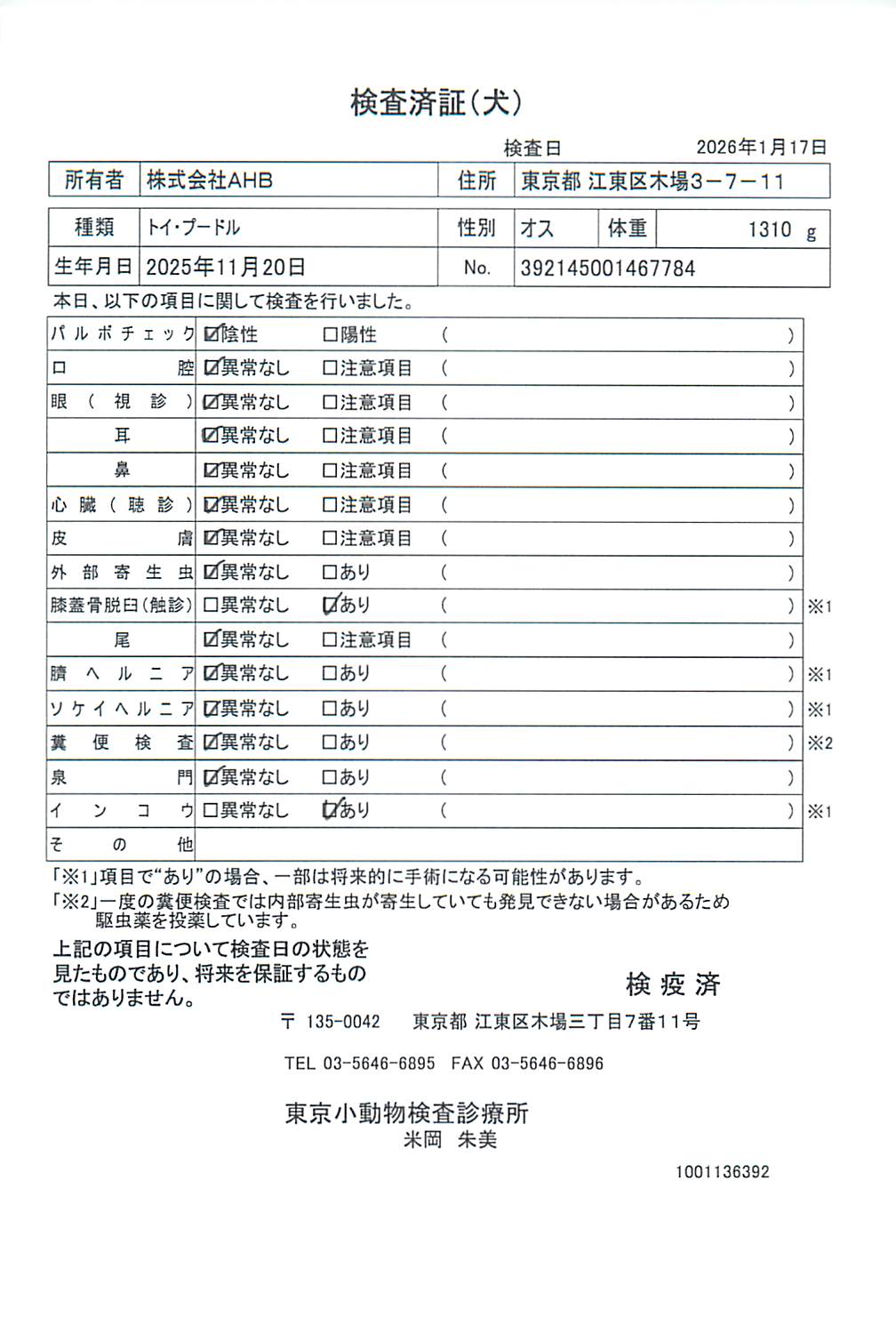 トイ・プードル