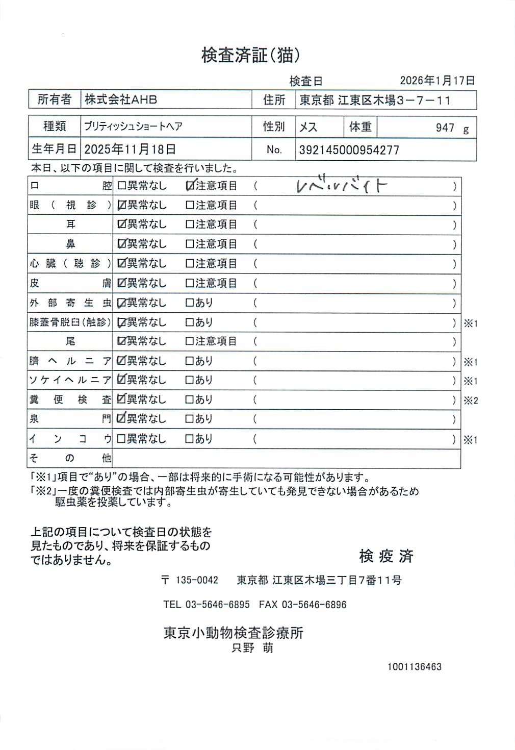 ブリティッシュショートヘア