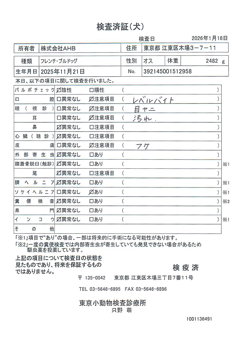 フレンチ・ブルドッグ