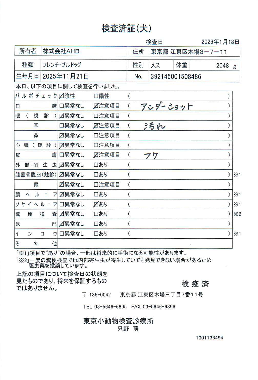 フレンチ・ブルドッグ