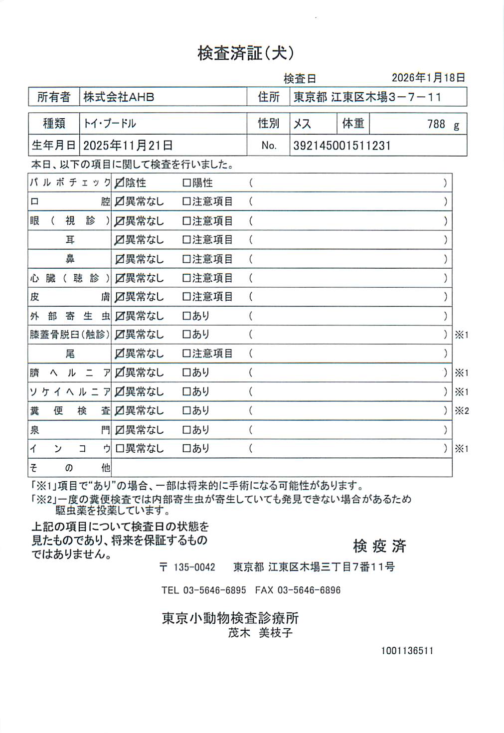 トイ・プードル