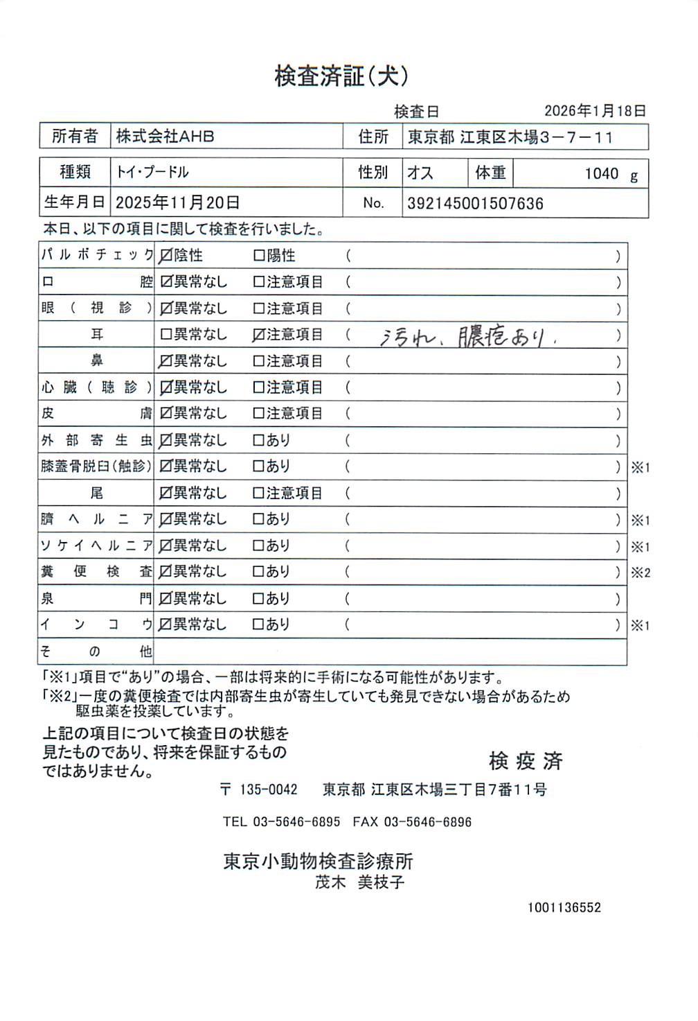 トイ・プードル