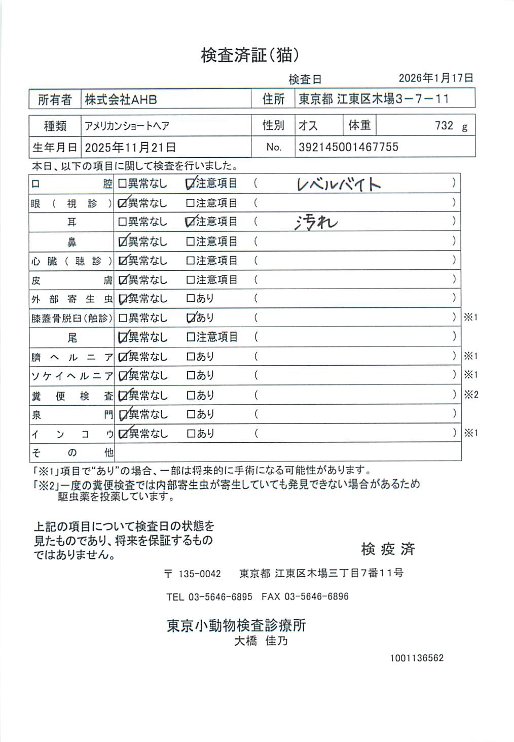 アメリカンショートヘア