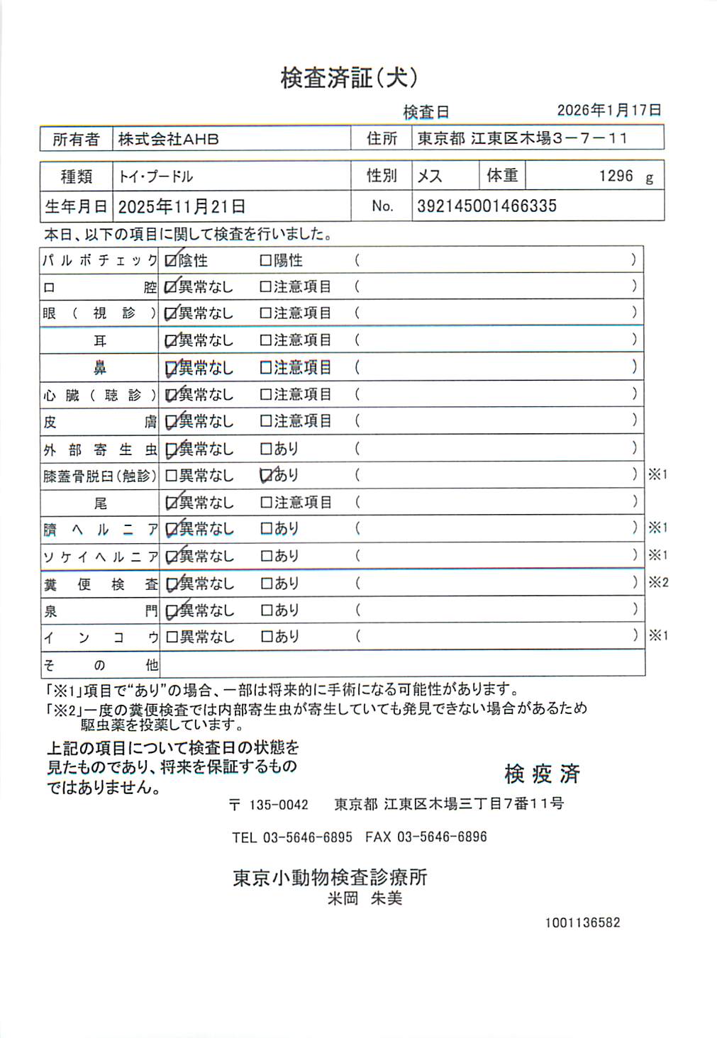 トイ・プードル