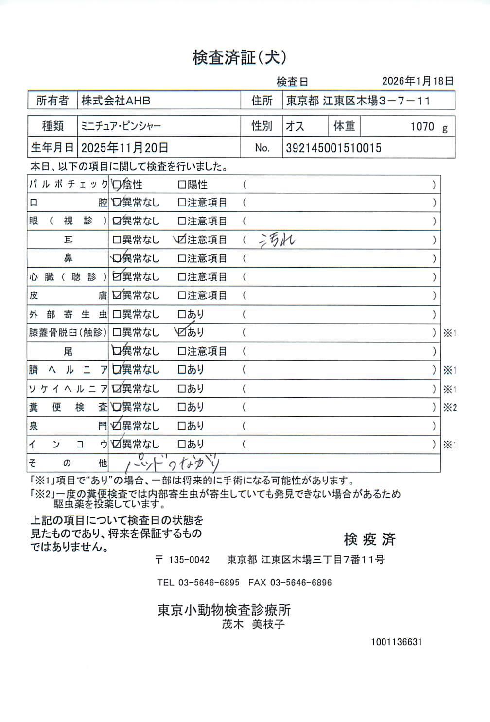 ミニチュア・ピンシャー