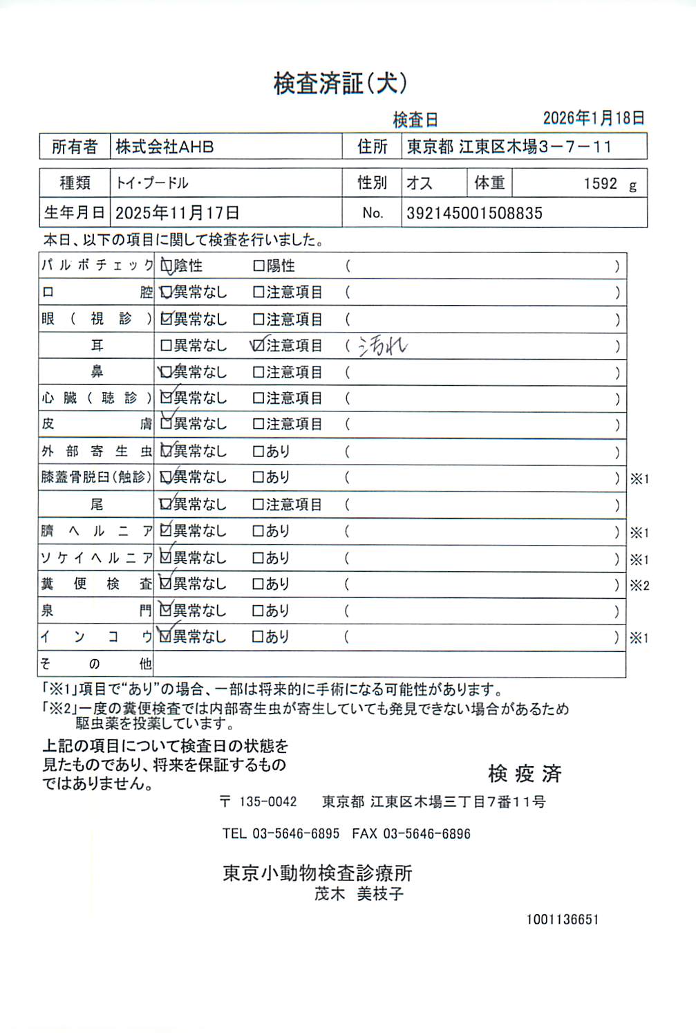 トイ・プードル