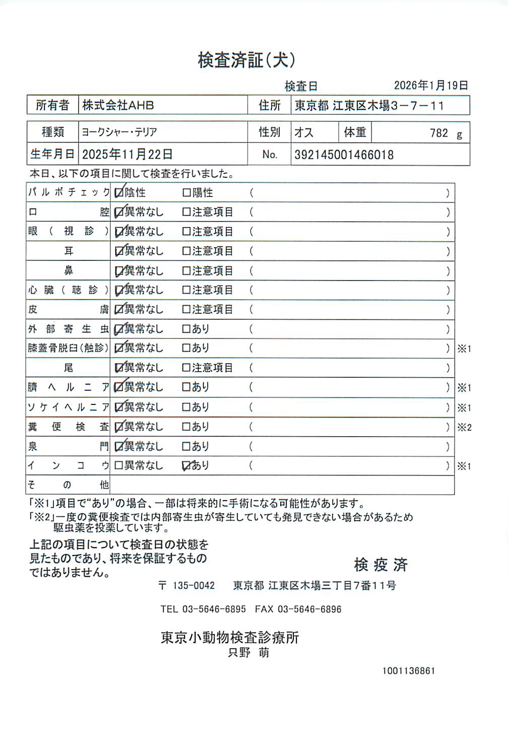 ヨークシャー・テリア