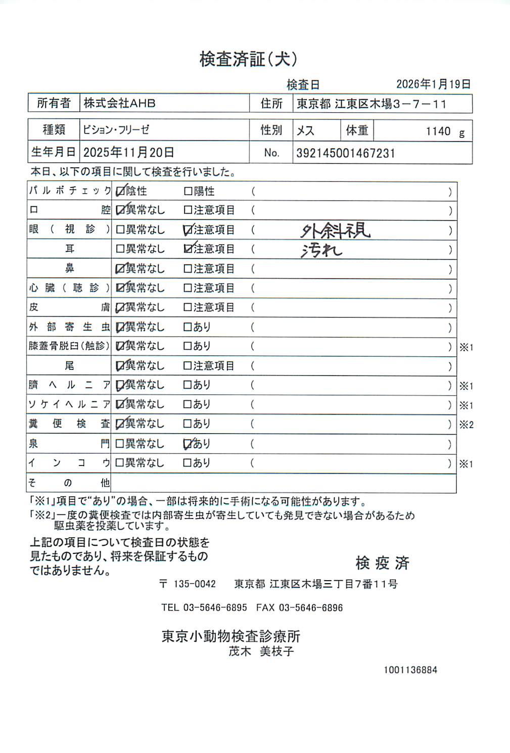 ビション・フリーゼ