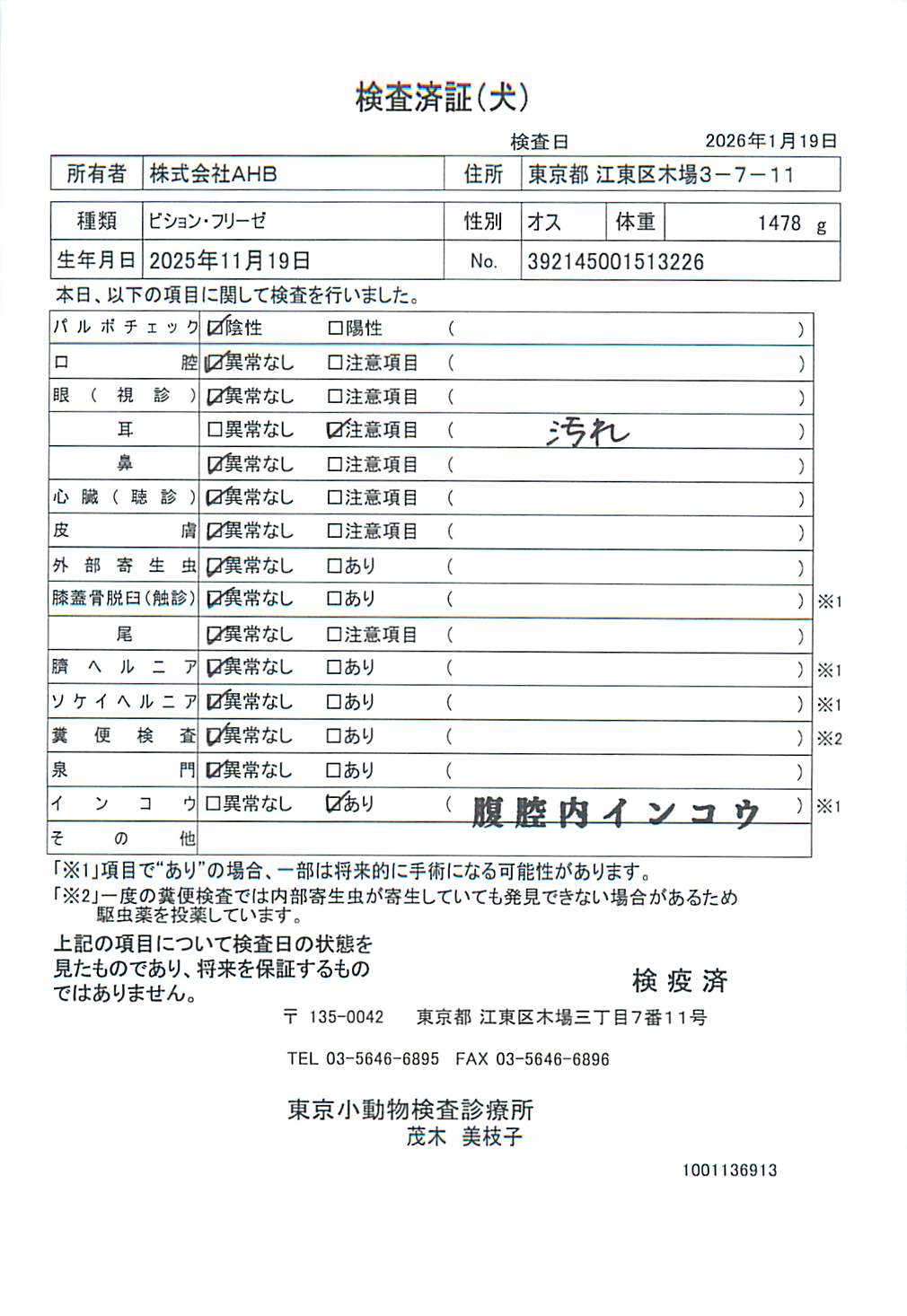 ビション・フリーゼ