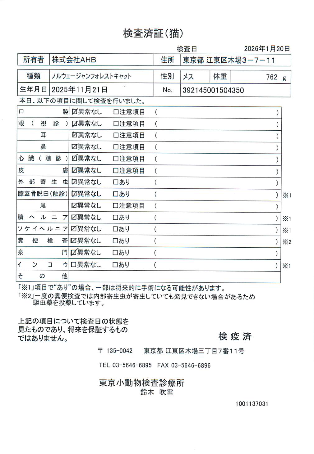 ノルウェージャンフォレストキャット