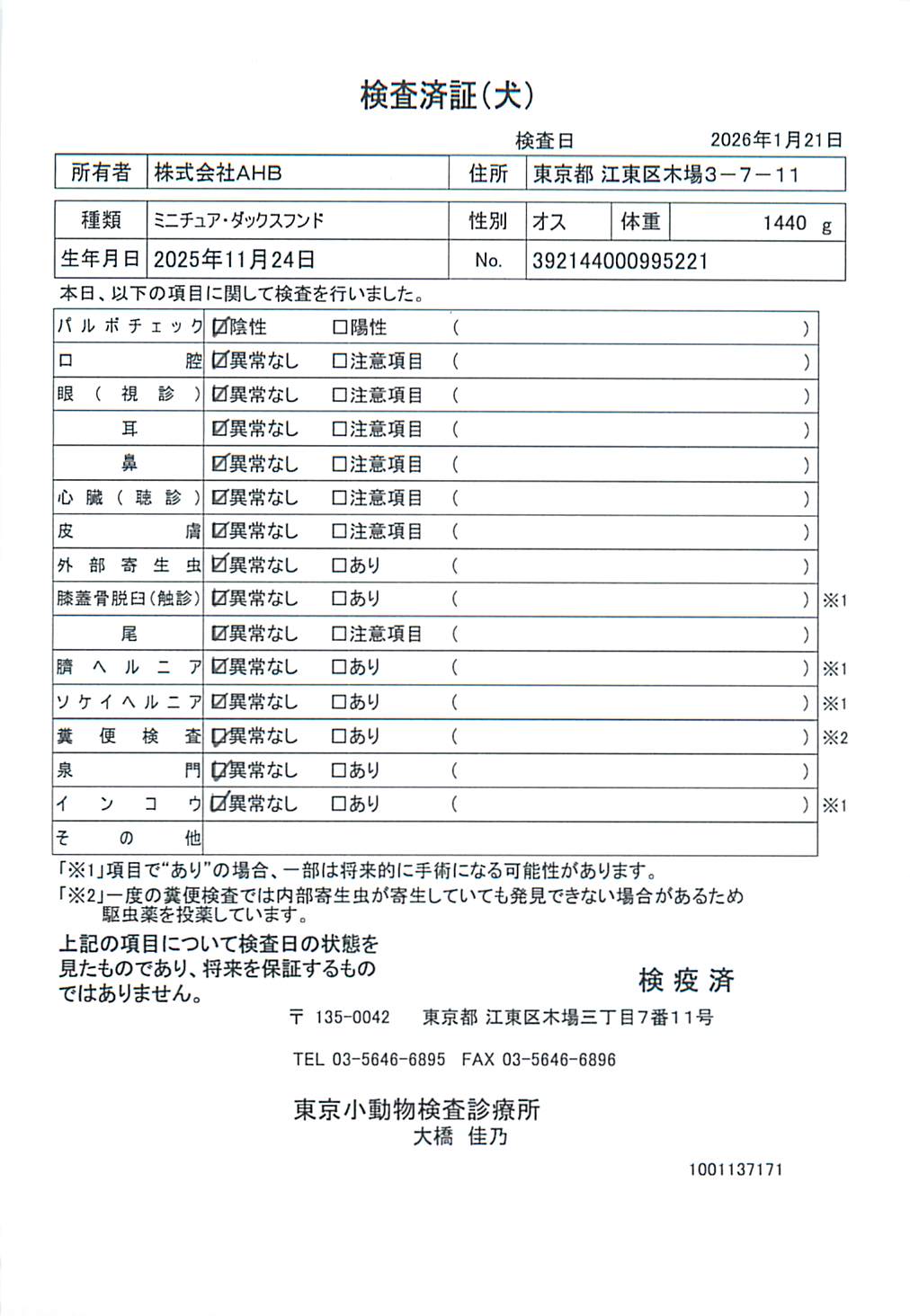 ミニチュア・ダックスフンド