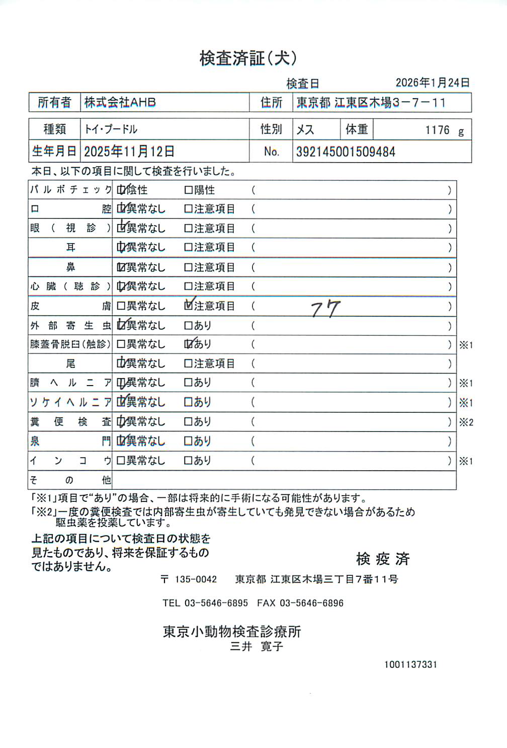 トイ・プードル