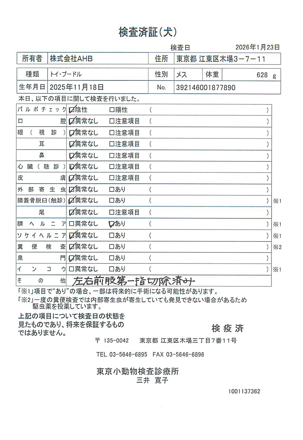 トイ・プードル