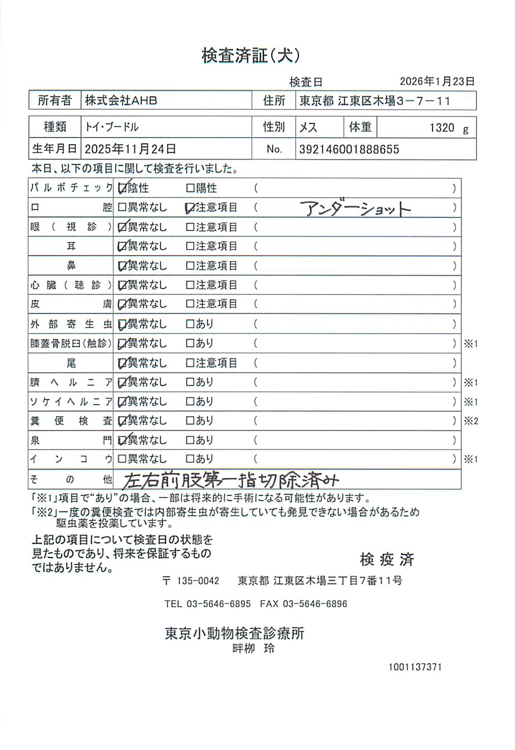 トイ・プードル