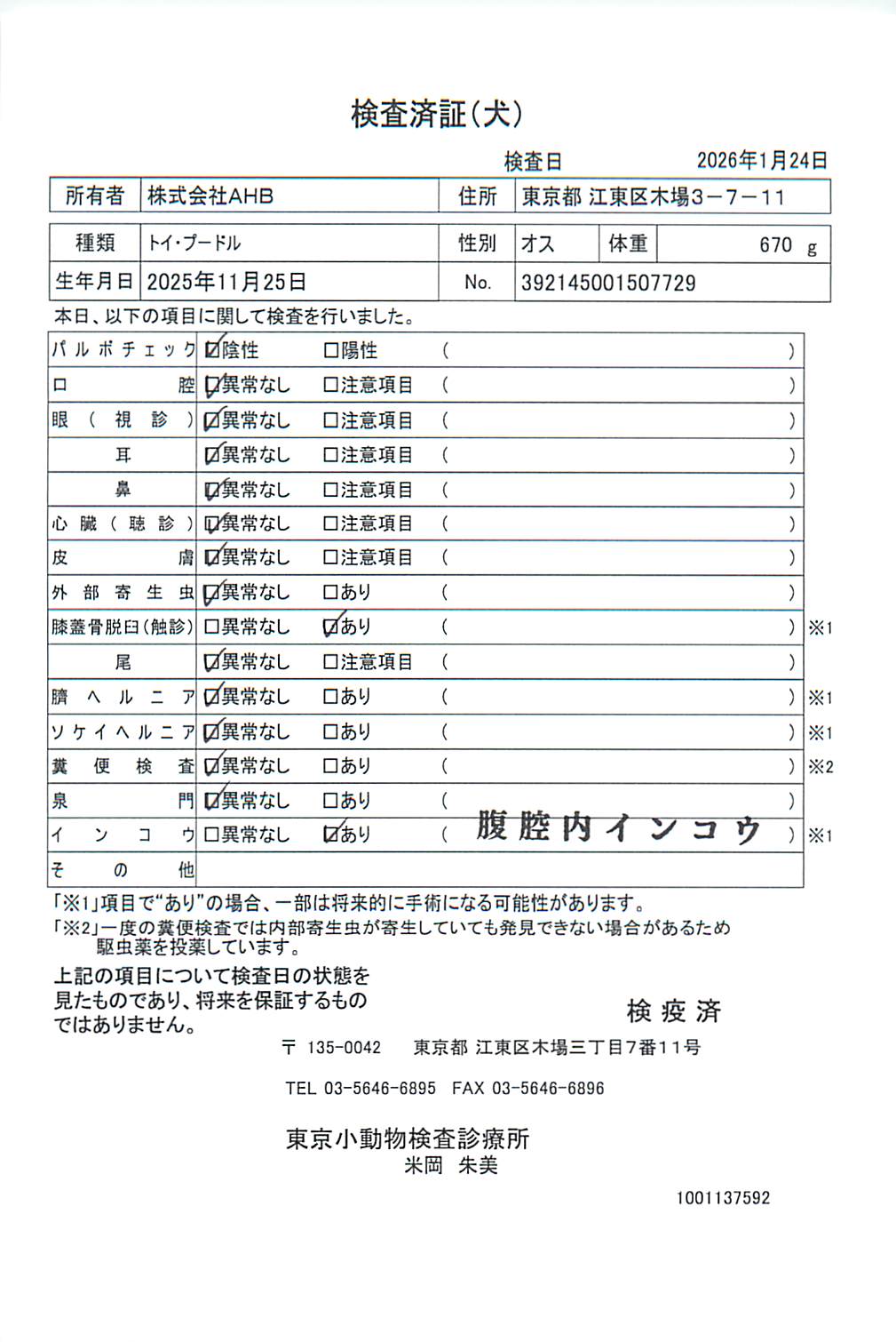 トイ・プードル