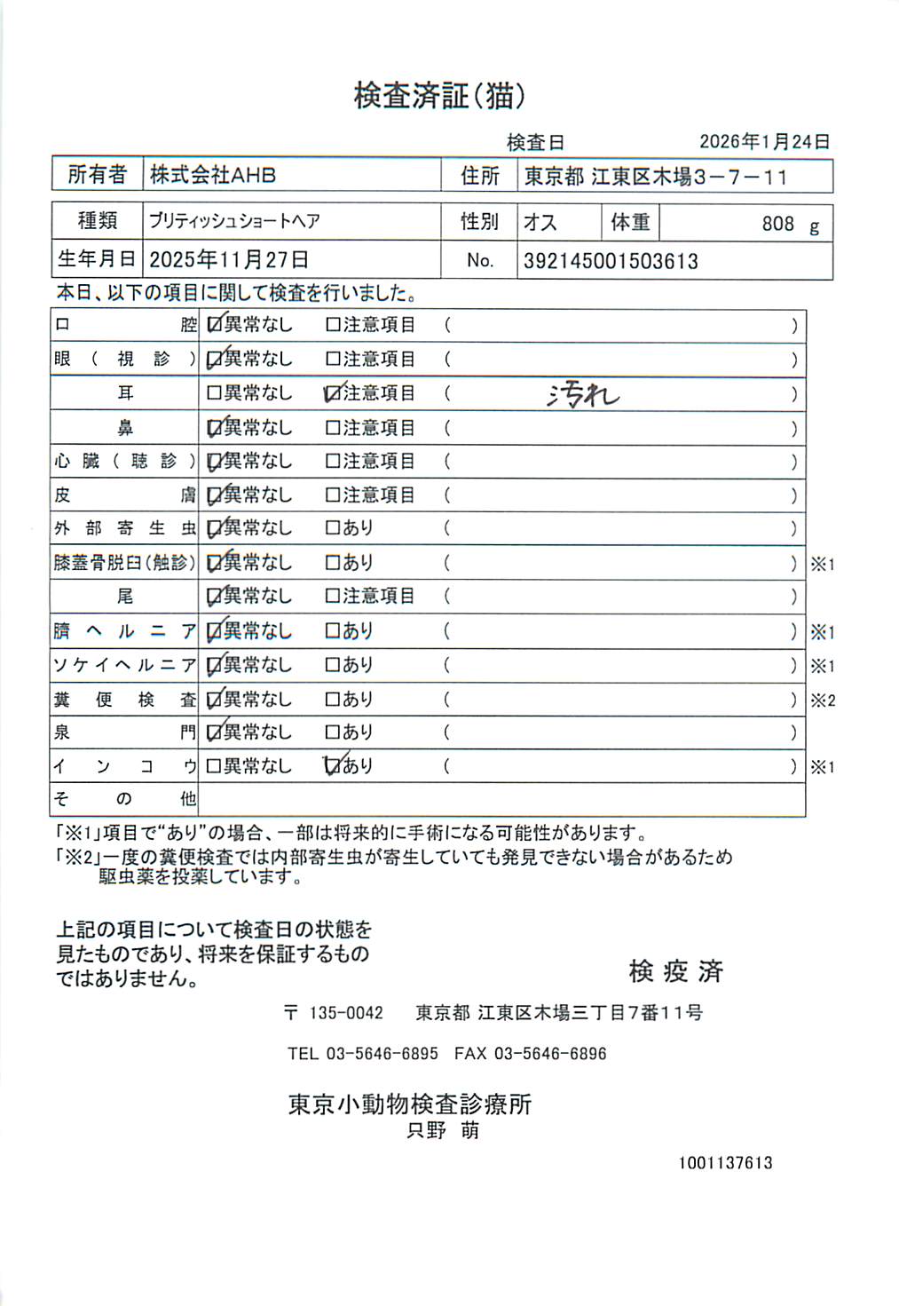 ブリティッシュショートヘア