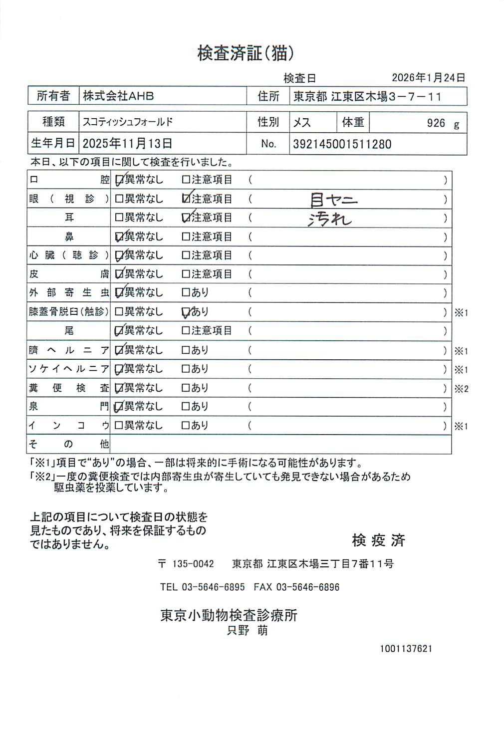 スコティッシュフォールド