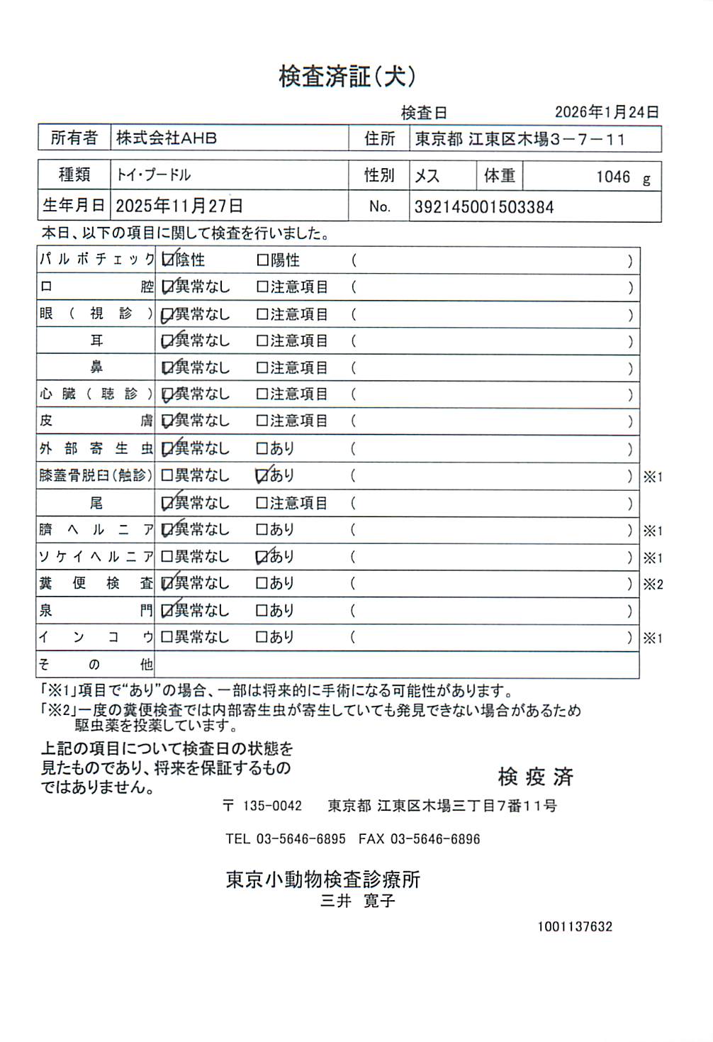トイ・プードル